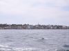 17_022 Arcachon.jpg